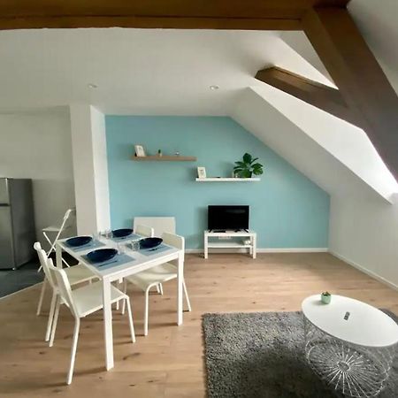 Studio Cosy Comme A La Maison Mulhouse Esterno foto